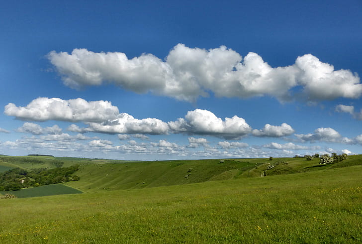 champ d'herbe verte sous un ciel nuageux pendant la journée, été, Wiltshire, herbe verte, nuageux, ciel, jour, paysage, colline de champ, nuages, cumulus, bratton, westbury, fort, nature, nuage - ciel, herbe, scène rurale, prairie, bleu, champ, dehors, scénique, vert Couleur, colline, cloudscape, Fond d'écran HD