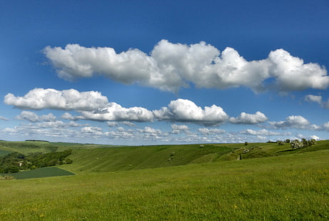 champ d'herbe verte sous un ciel nuageux pendant la journée, été, Wiltshire, herbe verte, nuageux, ciel, jour, paysage, colline de champ, nuages, cumulus, bratton, westbury, fort, nature, nuage - ciel, herbe, scène rurale, prairie, bleu, champ, dehors, scénique, vert Couleur, colline, cloudscape, Fond d'écran HD HD wallpaper