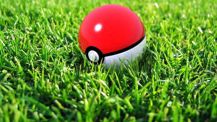 rotes und schwarzes Plastikspielzeug, Bälle, Gras, HD-Hintergrundbild
