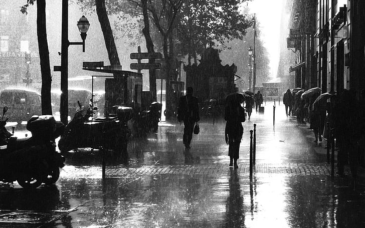 fotografía, urbano, ciudad, edificio, paisaje urbano, calle, monocromo, lluvia, París, paraguas, Fondo de pantalla HD