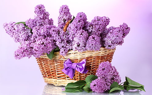 Lilas pourpre, panier, fleurs, violet, lilas, panier, fleurs, Fond d'écran HD HD wallpaper