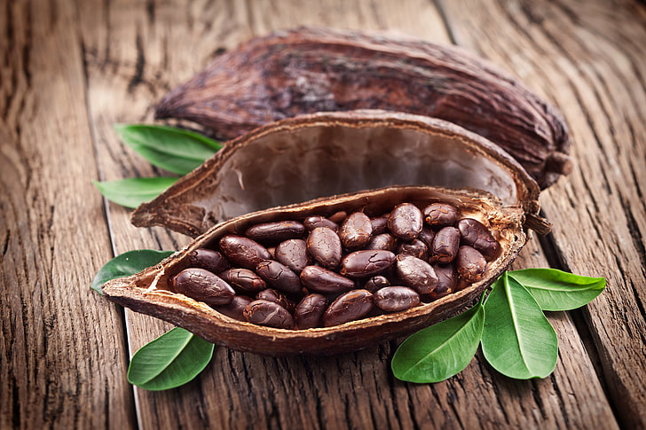 Cacao fruit, leaves, peel, cocoa beans, HD wallpaper