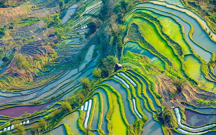 Yunnan Yuanyang terrasslandskap flygfotografering, HD tapet