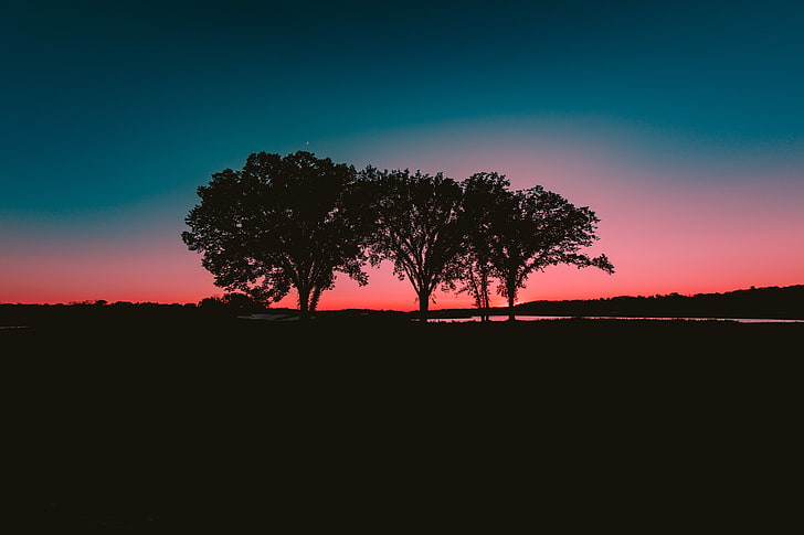 silhouette of trees, nature, water, trees, sunset, HD wallpaper