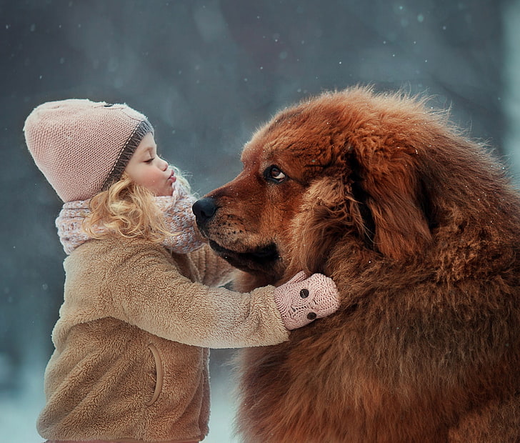 mood, dog, friendship, girl, friends, Tibetan Mastiff, HD wallpaper