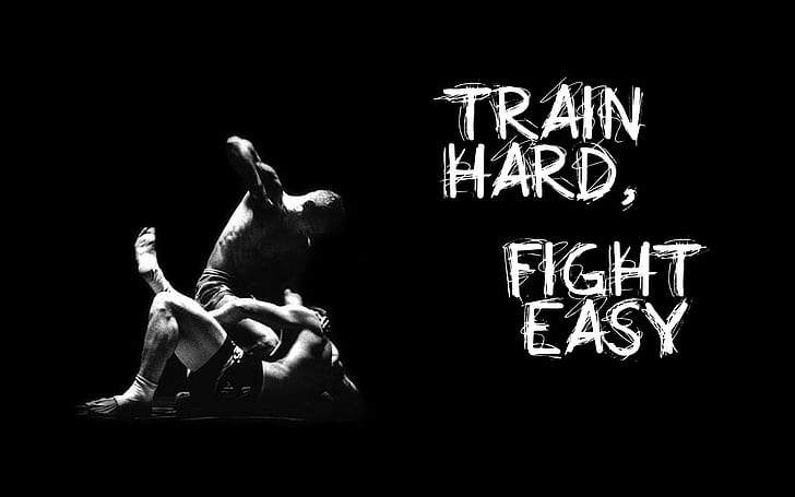 Black Train Fight MMA HD, спорт, черен, борба, влак, mma, HD тапет
