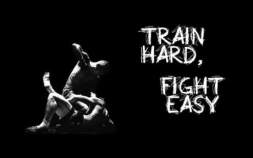 Black Train Fight MMA HD, Sport, Schwarz, Kampf, Zug, mma, HD-Hintergrundbild HD wallpaper