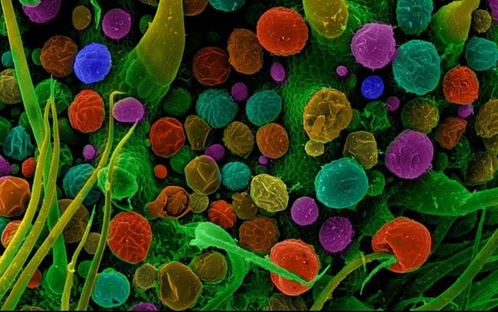 fotos microscópicas, macro, coloridas, miniaturas, cannabis, ciencia, química, coloreadas, Fondo de pantalla HD