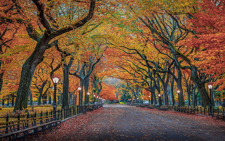 ألوان الخريف في الطبيعة Herbst Park مدينة نيويورك الولايات المتحدة الأمريكية 4K Ultra HD خلفية لسطح المكتب الكمبيوتر المحمول اللوحي والهواتف المحمولة والتلفزيون 3840 × 2400، خلفية HD
