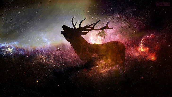 carta da parati digitale cervo, cervo, animali, stelle, arte digitale, Sfondo HD