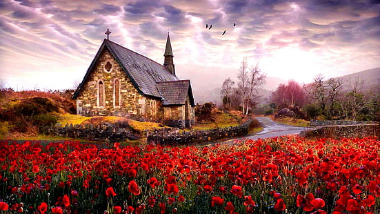 Derrycunnihy Church Killarney National Park i Irland Ultra HD bakgrundsbilder för mobiltelefoner Tablet och PC 1920 × 1080, HD tapet HD wallpaper