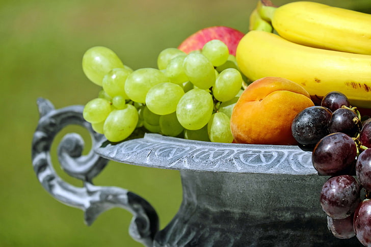 fruit, fruit bowl, fruits, fruity, healthy, shell, vitamins, HD wallpaper