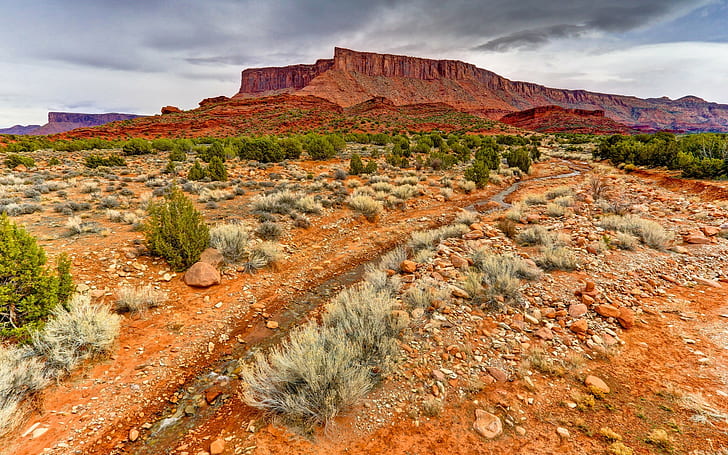 pemandangan, batu, alam, Utah, Wallpaper HD