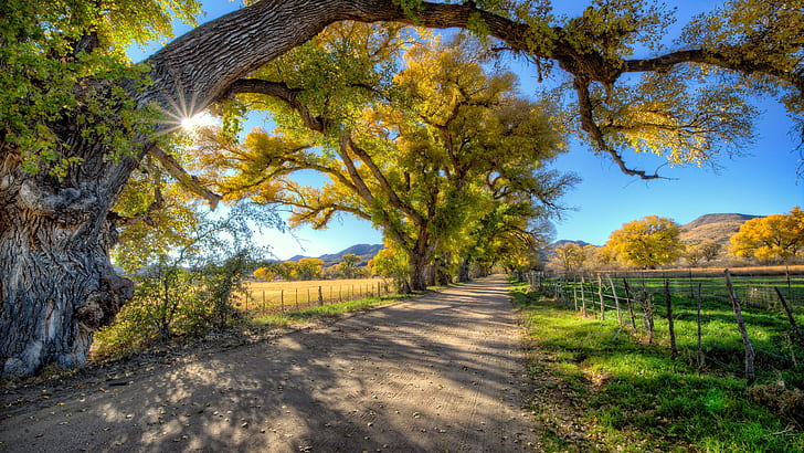 Autumn Landscape Country Road Trees Wallpaper Hd, HD wallpaper