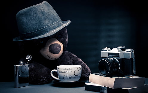 плюшевая игрушка бурый медведь, фотоаппарат, алкоголь, кофе, шляпа, плюшевые мишки, книги, HD обои HD wallpaper
