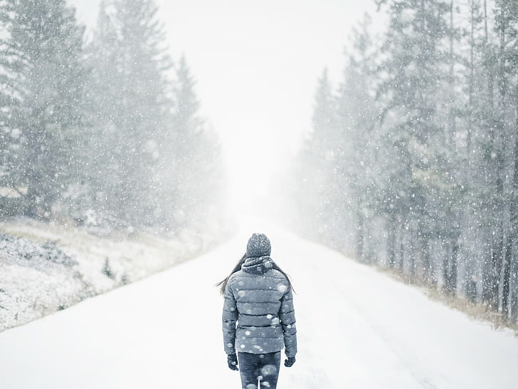 wegsehen, bäume, schnee, nebel, allein, frauen, brünett, HD-Hintergrundbild