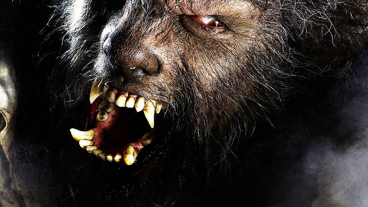 dark, werewolf, wolfman, HD wallpaper