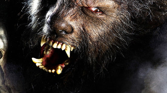 Dunkel, Werwolf, Wolfsmann, HD-Hintergrundbild HD wallpaper