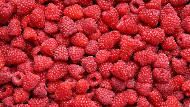 raspberry, beri, matang, banyak, raspberry merah, raspberry, beri, matang, banyak, Wallpaper HD