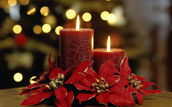 två röda pelarljus, blommor, ljus, bokeh, semester, jul, dekorationer, HD tapet