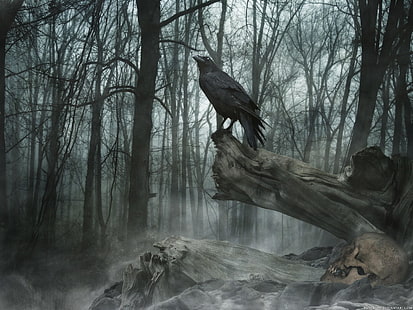 crow animal, Dark, Animal, Fog, Raven, Skull, HD wallpaper HD wallpaper