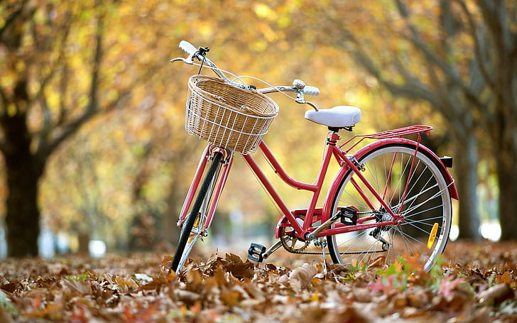 레드 클래식 자전거, 레드 통근 자전거, 자전거, 숲, 클래식 자전거, HD 배경 화면