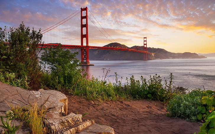 Golden Gate Bridge Bridge San Francisco Sunset Plant Ocean HD, nature, ocean, sunset, bridge, plant, golden, san, gate, francisco, HD wallpaper