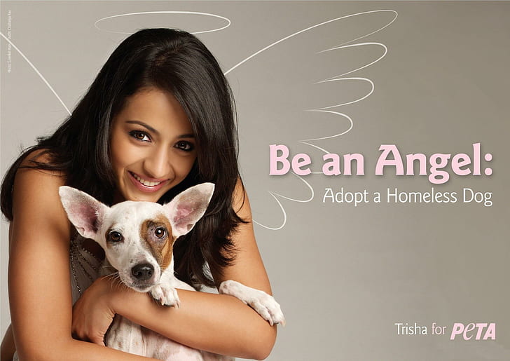 Voglio essere felice, essere un angelo adottare un'illustrazione di cane senzatetto, cani, animali, sorriso, ragazza, Sfondo HD