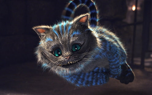체셔 고양이, 고양이, 이상한 나라의 앨리스, HD 배경 화면 HD wallpaper