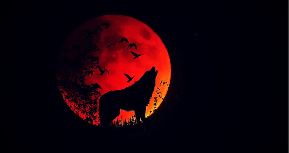 الذئب ، العواء ، صورة ظلية ، اكتمال القمر ، قمر النار، خلفية HD HD wallpaper
