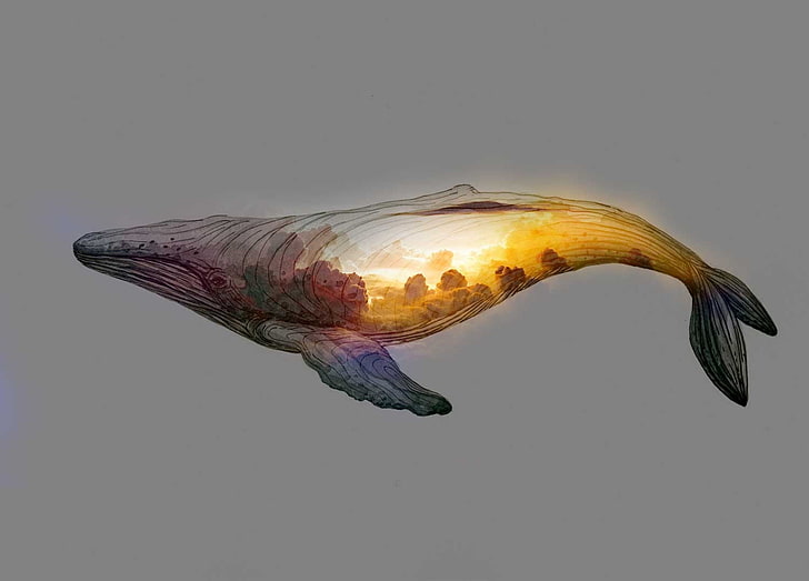 иллюстрация кита, кит, произведение искусства, простой фон, облака, минимализм, HD обои