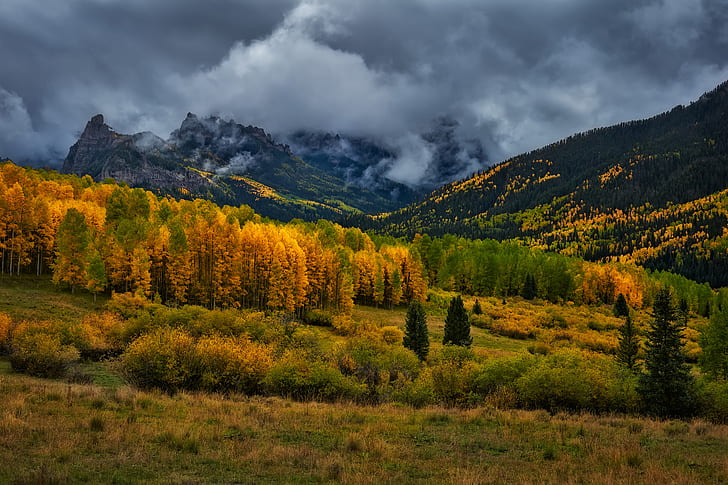الخريف ، الغابة ، الجبال ، السحب ، كولورادو ، الولايات المتحدة الأمريكية ، يوم ممطر ، جبال سان خوان، خلفية HD