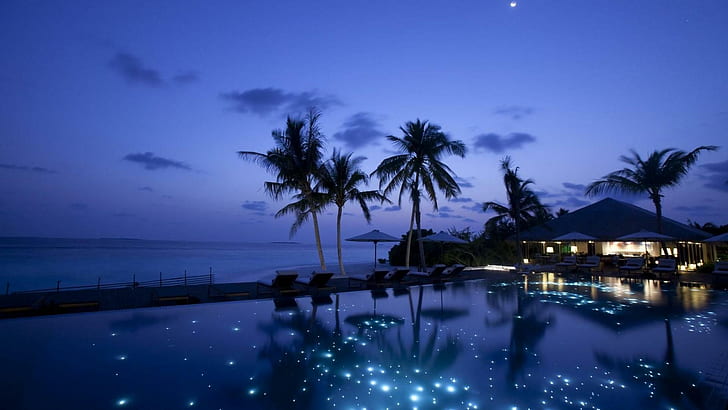 Moon In The Sky Stars In The Pool, palms, resort, moon, night, pool, nature and landscapes, HD wallpaper