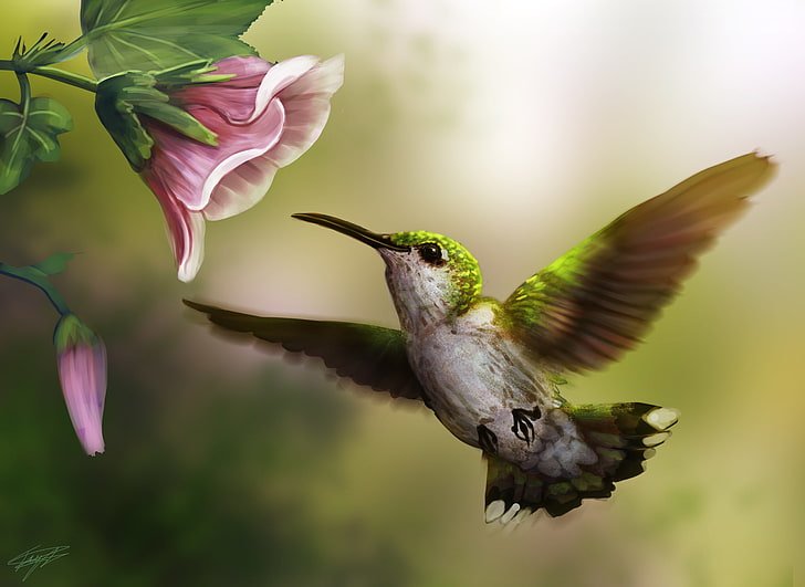 green and beige hummingbird, flower, pink, bird, Hummingbird, art, HD wallpaper