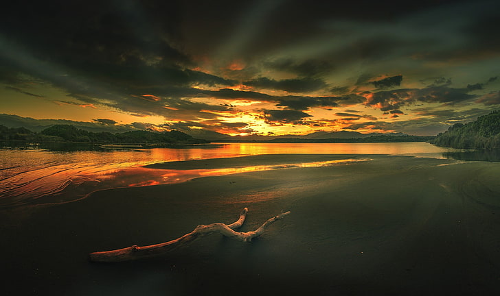 Beige Treibholz, Landschaft, Küste, Strand, Sonnenaufgang, Wolken, HD-Hintergrundbild