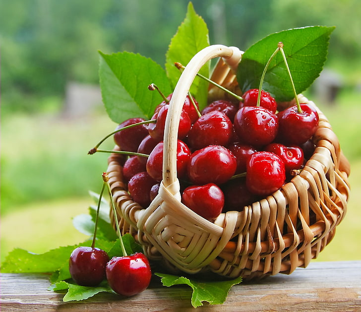 bundle of cherries and brown wicker basket, cherry, berries, basket, fresh, sweet, HD wallpaper