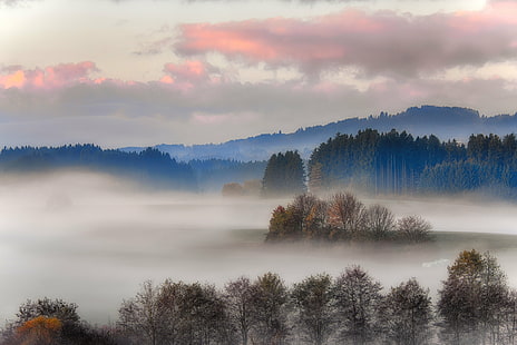 green and brown leaf trees covered with fogs  under brown and grey sky at daytime, green, brown, leaf, trees, covered, daytime, Bayern, Allgäu, Bavaria, Germany, Deutschland, Nebel, Dunst, fog, morgens, Morgen, früh, morning, Bäume, Wolken, Herbst, autumn, Nikon  Nikkor, ngc, Outdoor, Natur, Himmel, flickr, EUrope, Europa, nature, forest, mountain, tree, mist, landscape, sunset, scenics, outdoors, dawn, sunrise - Dawn, HD wallpaper HD wallpaper