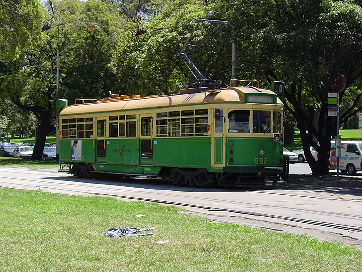 Melbourne w6 clase tranvía, tranvía, árbol, hierba, melbourne, Fondo de pantalla HD