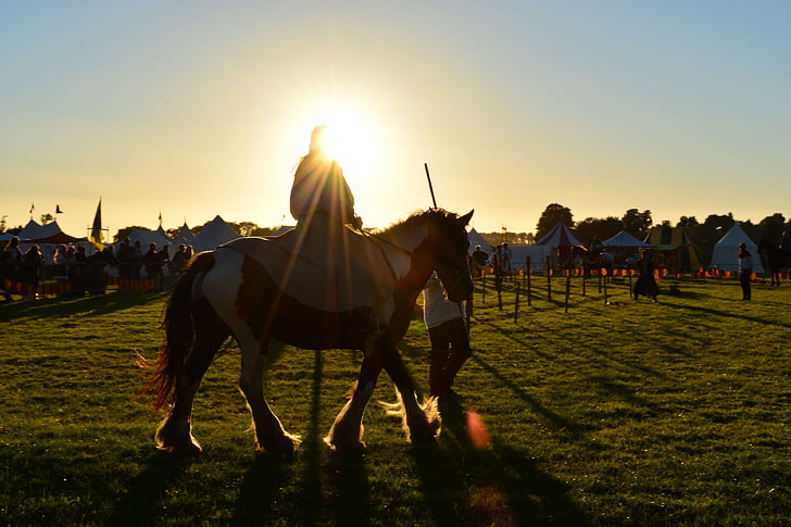 adult, cavalry, equestrian, equine, farm, field, grass, horse, horsemen, mammal, man, mare, middle ages, outdoors, people, race, shadow, silhouette, stallion, sunrays, sunset, tents, HD wallpaper