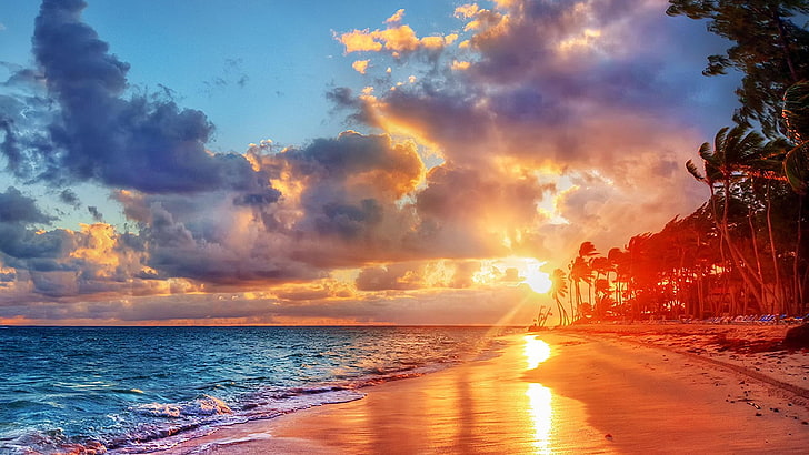 plaża, morze, brzeg morza, brzeg, palmy, zachód słońca, promień słońca, piasek, przyroda, Tapety HD