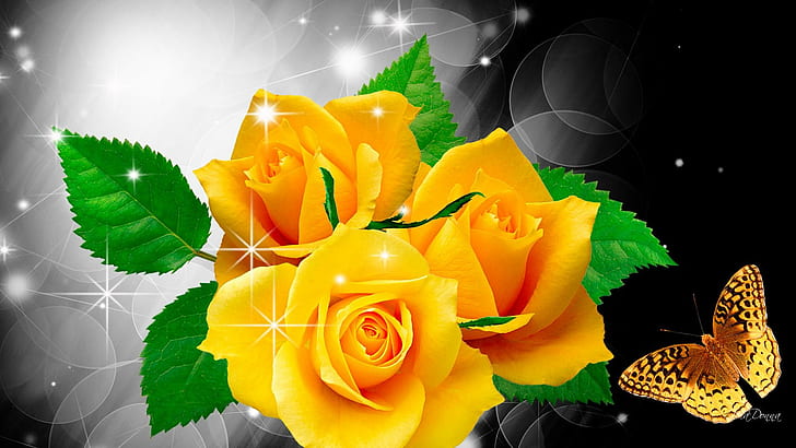 ส่องแสงบนดอกกุหลาบสีเหลือง, ภาพประกอบกุหลาบเหลือง, แวววาว, เป็นประกาย, สีเหลือง, แวววาว, กระพริบตา, ความมันวาว, ปาปิญอง, ความมันวาว, ผีเสื้อ, ดอกไม้, แวววาว, วอลล์เปเปอร์ HD