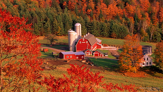 Northern Vermont jesienią, jesienią, Tapety HD HD wallpaper