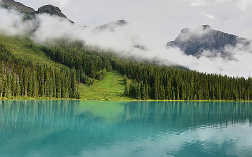 Лесное озеро пейзаж небо лето Природа Обои, HD обои HD wallpaper