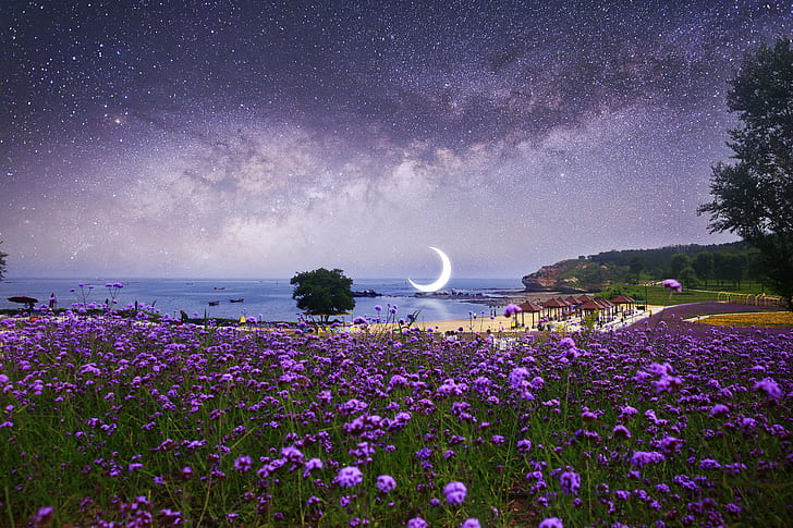 Surrealista, Luna, Paisaje, Flores de color púrpura, Paisaje marino, Playa, 5K, Fondo de pantalla HD