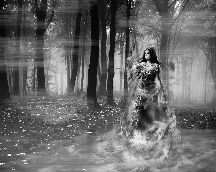 Graustufenfoto von Mann und Frau, Monochrom, Waldlichtung, Wald, Mystique, HD-Hintergrundbild