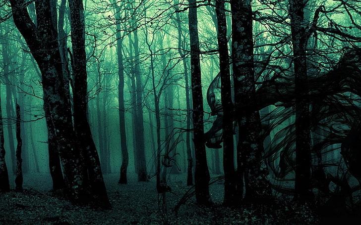 черные голые деревья, лес, пейзаж, темно, природа, деревья, фото манипуляции, мрачно, зеленый, туман, HD обои