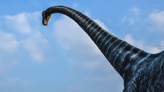 Brachiosaurus, Dinosaurier, HD-Hintergrundbild HD wallpaper