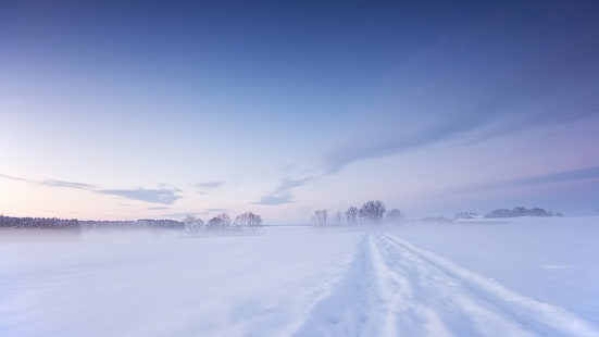 снежный пейзаж, HD обои HD wallpaper