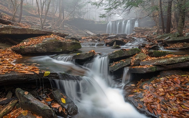 ручья, замедленная съемка, утро, туман, водопад, листья, лес, Пенсильвания, природа, пейзаж, осень, река, деревья, HD обои
