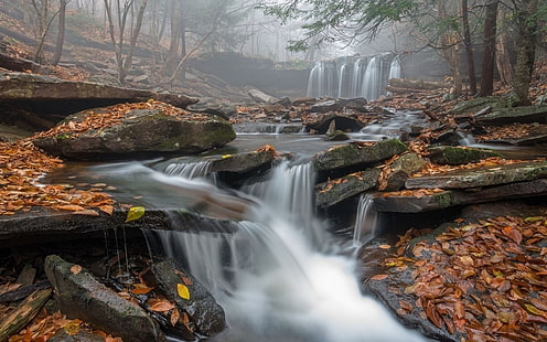 creek time-lapsed photography, morning, mist, waterfall, leaves, forest, Pennsylvania, nature, landscape, fall, river, trees, HD wallpaper HD wallpaper